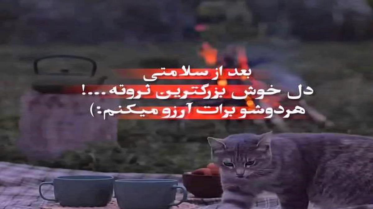 قارا قاش قارا گز خواننده زن